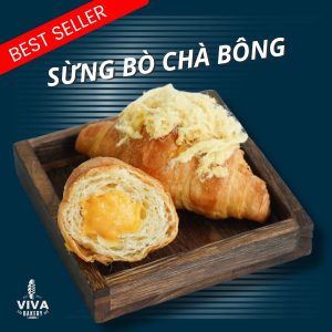SỪNG BÒ CHÀ BÔNG