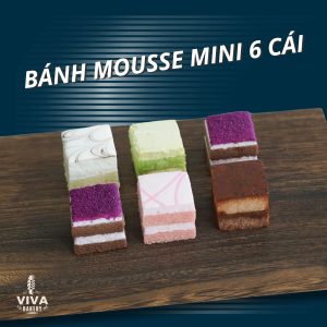 MOUSSE MINI 6 CÁI