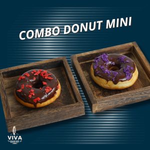COMBO DONUT MINI